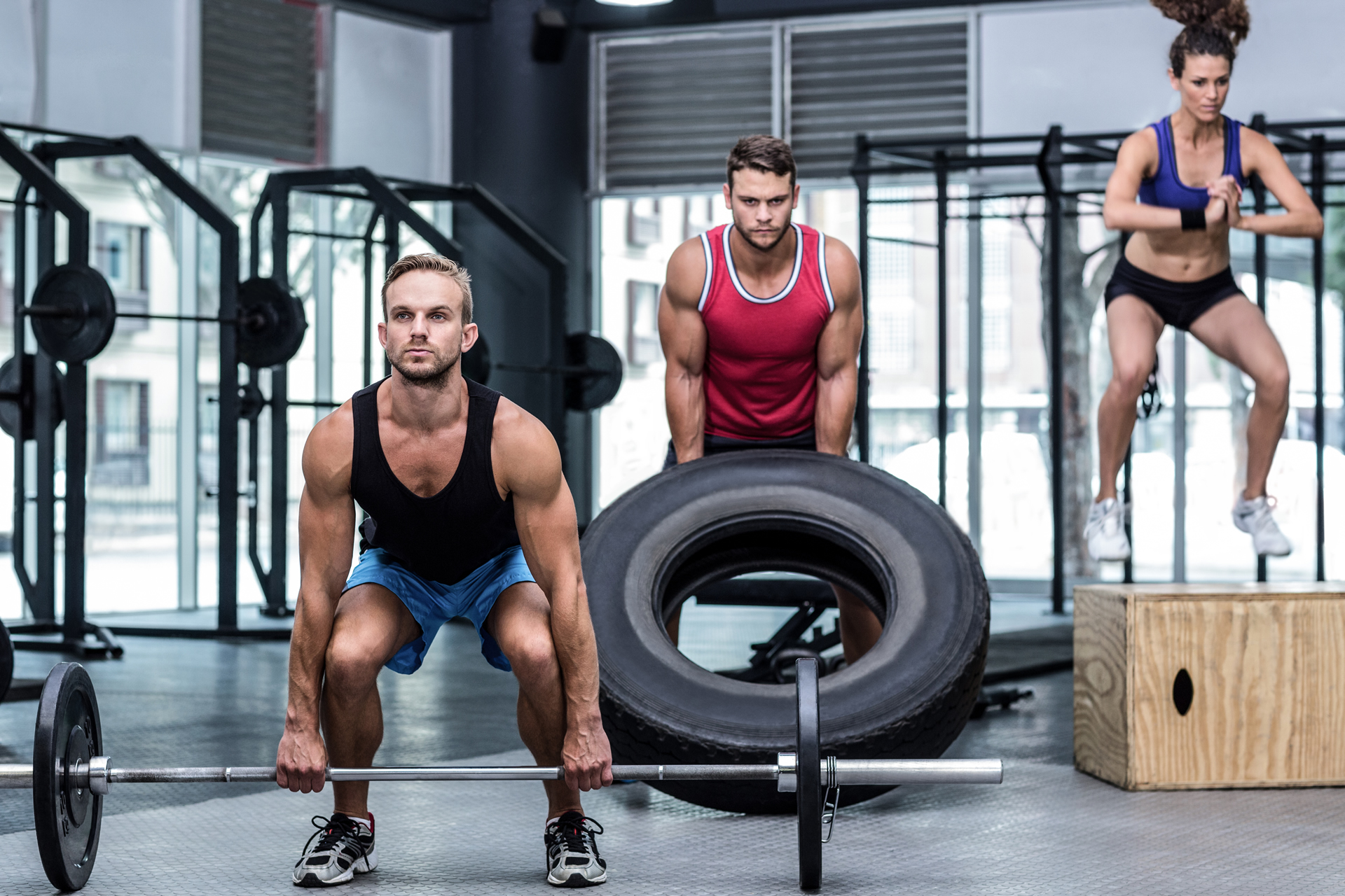 Wellness Solutions By Olympia